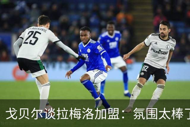 戈贝尔谈拉梅洛加盟：氛围太棒了，我们需要这种快乐