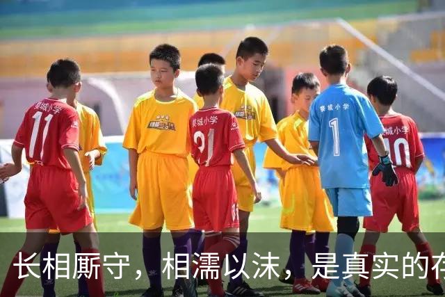 长相厮守，相濡以沫，是真实的存在吗？