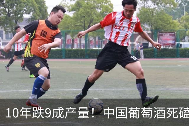 10年跌9成产量！中国葡萄酒死磕“又酸又涩”，终被消费者抛弃？